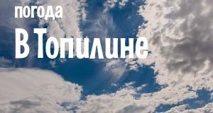 Погода в Топилине