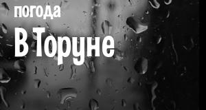 Погода в Торуне