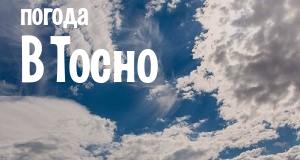Погода в Тосно