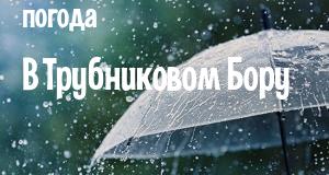 Погода в Трубниковом Бору