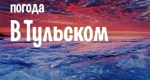 Погода в Тульском