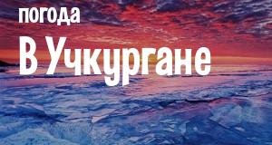 Погода в Учкургане
