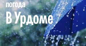 Погода в Урдоме