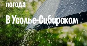 Погода в Усолье-Сибирском