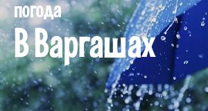 Погода в Варгашах