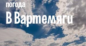 Погода в Вартемяги