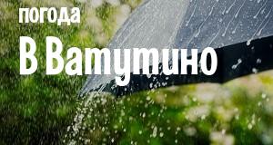 Погода в Ватутино