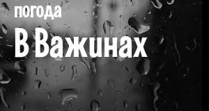 Погода в Важинах