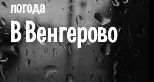 Погода в Венгерово