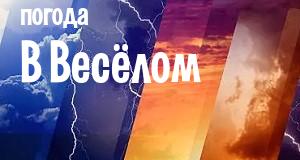 Погода в Весёлом