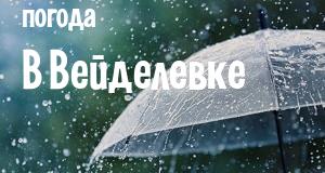Погода в Вейделевке