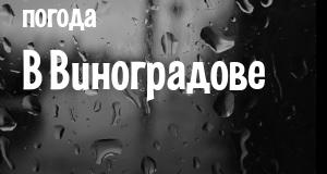Погода в Виноградове