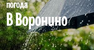Погода в Воронино