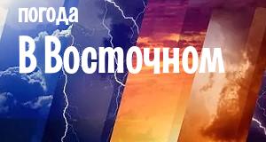 Погода в Восточном