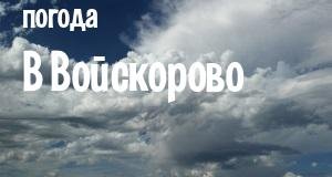 Погода в Войскорово