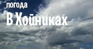 Погода в Хойниках