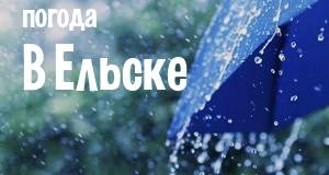 Погода в Ельске