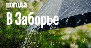 Погода в Заборье