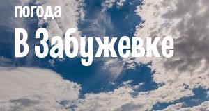 Погода в Забужевке