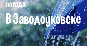 Погода в Заводоуковске