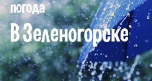 Погода в Зеленогорске