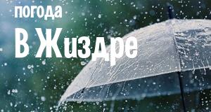 Погода в Жиздре