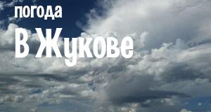 Погода в Жукове