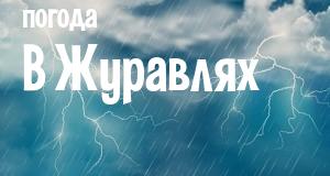 Погода в Журавлях