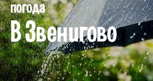 Погода в Звенигово